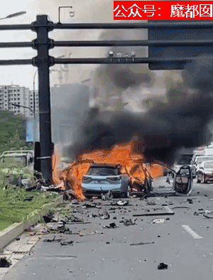 疯传！驾驶员当场死亡，网红热门新能源车撞柱粉碎+爆燃起火（组图） - 20