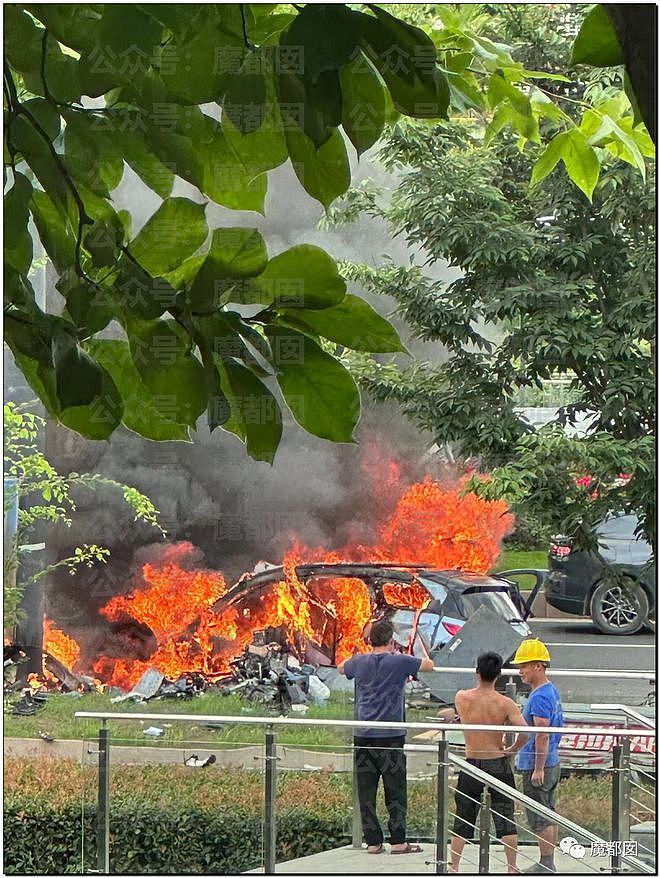 疯传！驾驶员当场死亡，网红热门新能源车撞柱粉碎+爆燃起火（组图） - 9