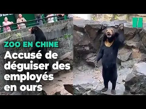 全世界都在围观杭州动物园的熊是真是假，没想到法国人的回应亮了（组图） - 3
