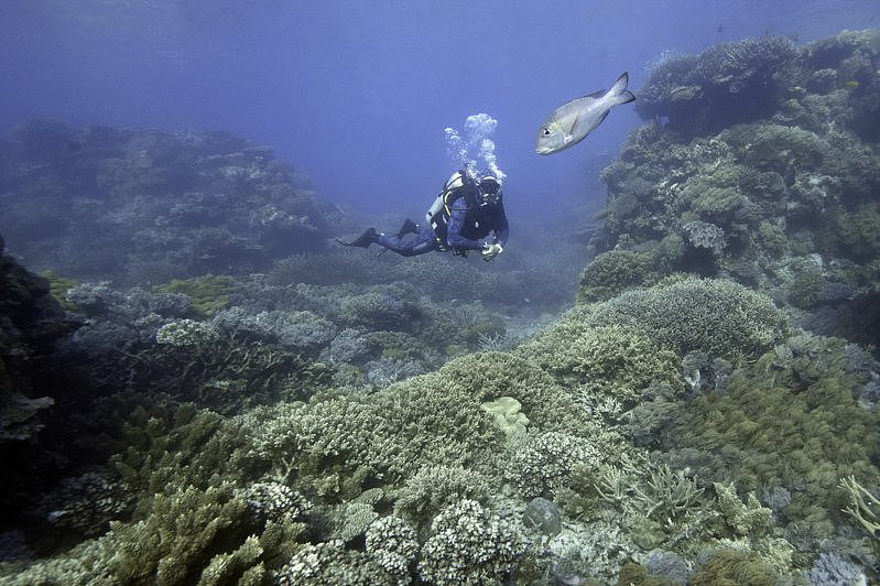 澳大堡礁未列“濒危名单”！联合国警告仍暖化仍使大堡礁面临“严重威胁”（组图） - 1