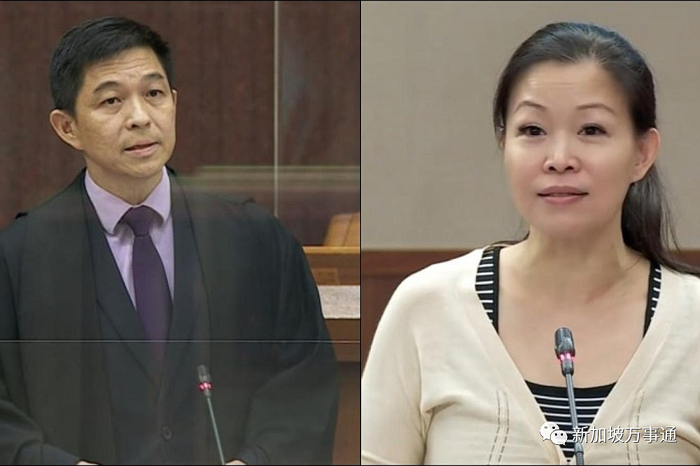 新加坡总理李显龙公布部长涉贪案最新进展，再谈议长婚外情事件（组图） - 7