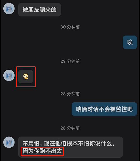 全中国都被骗了？0赎金救回缅北受害者，居然是假的？（组图） - 5