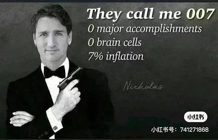 加拿大总理特鲁多婚变，网友讽刺：无脑傻帅、一事无成......（组图） - 6