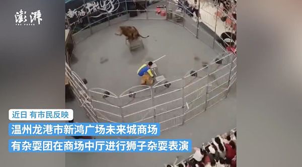 温州商场竟有狮子表演，栏杆超矮遭质疑“跳出来怎办？”（组图） - 1