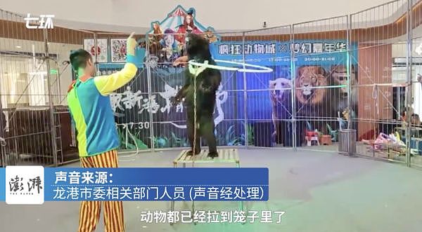 温州商场竟有狮子表演，栏杆超矮遭质疑“跳出来怎办？”（组图） - 2