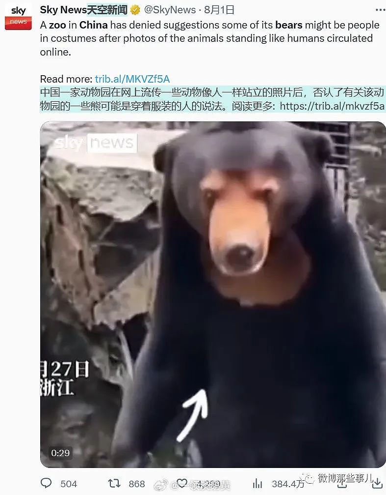 全球媒体都在报道中国这只熊，真像人穿着熊皮，只有韩国人破防了（组图） - 5