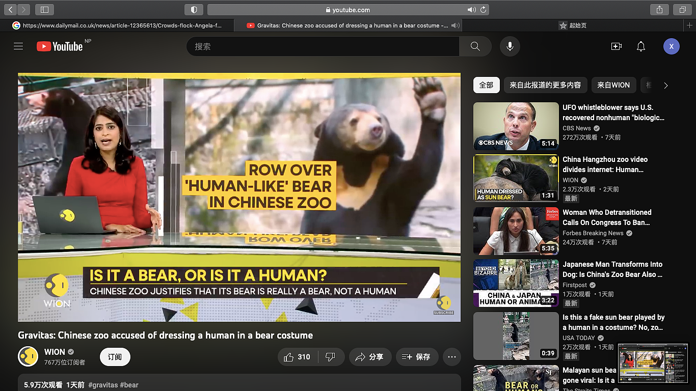 中国动物园一头熊一夜火爆全球，无数网友凌乱：真的不是人类假扮的（组图） - 11