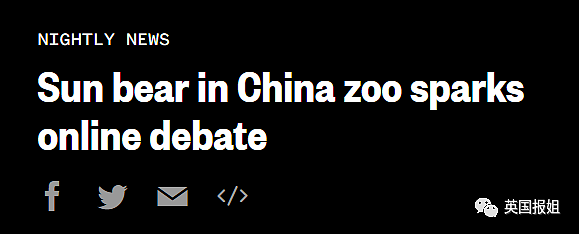 中国动物园的一头熊一夜之间火爆全球！国外媒体网友陷入疯狂：“它到底是熊还是人？！”（组图） - 9