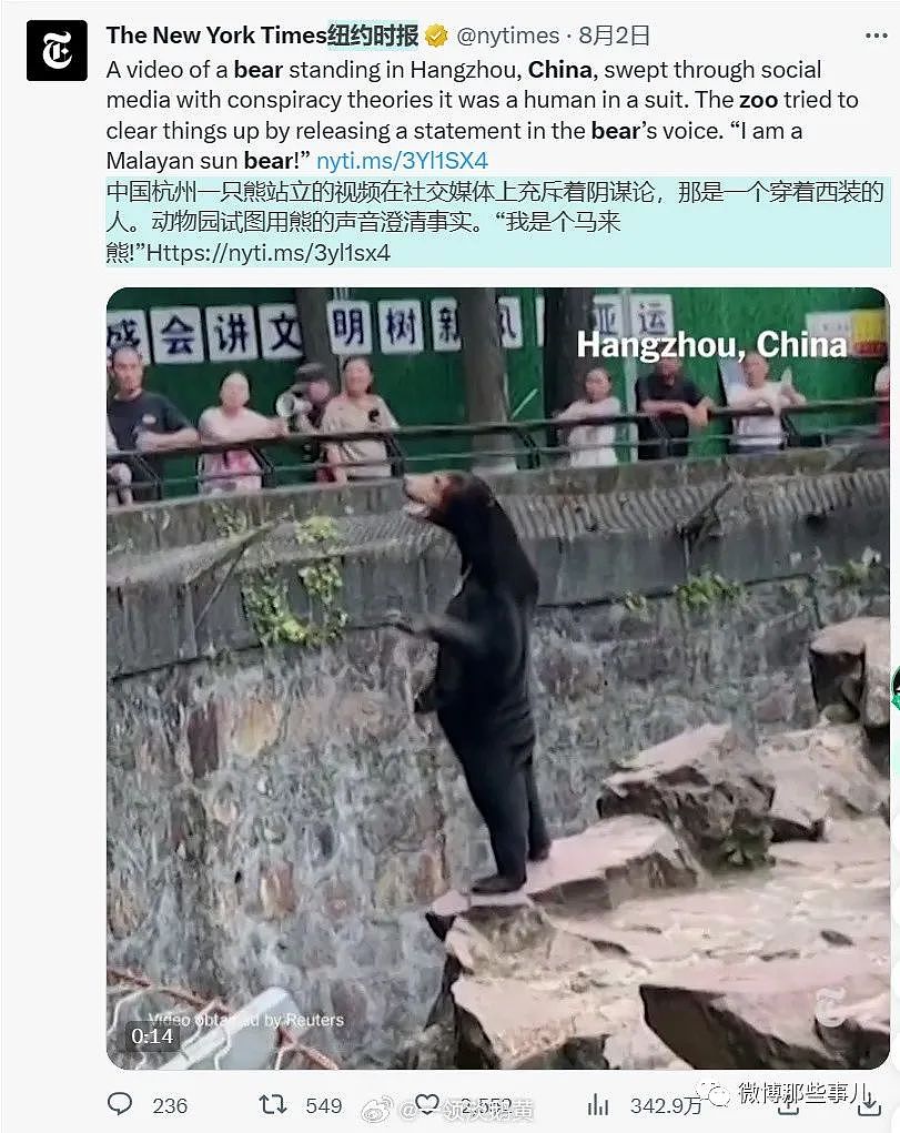 全球媒体都在报道中国这只熊，真像人穿着熊皮，只有韩国人破防了（组图） - 4