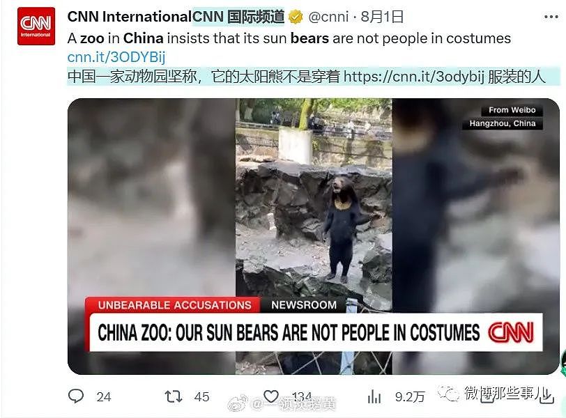 全球媒体都在报道中国这只熊，真像人穿着熊皮，只有韩国人破防了（组图） - 6