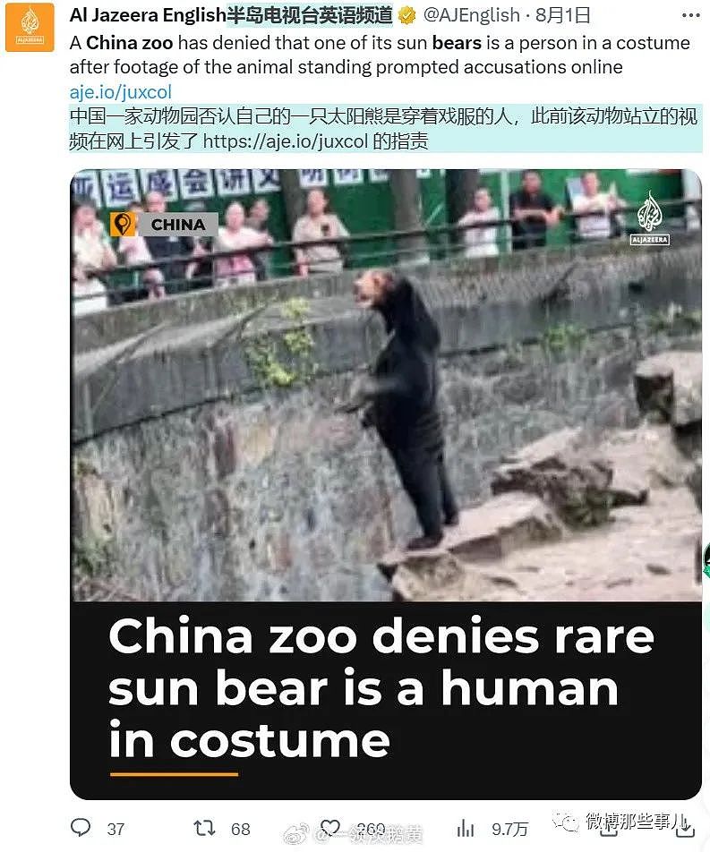 全球媒体都在报道中国这只熊，真像人穿着熊皮，只有韩国人破防了（组图） - 9