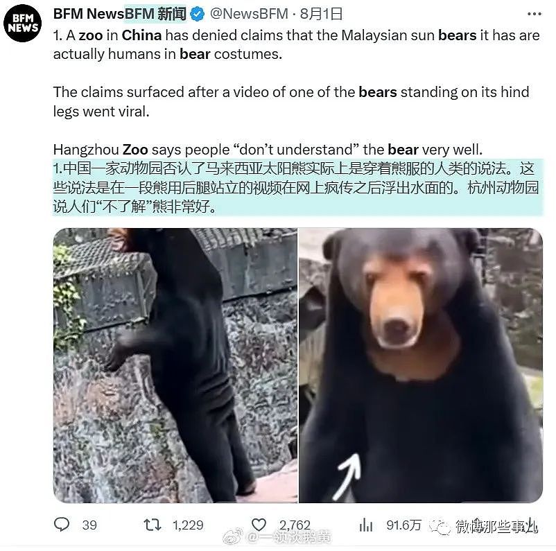 全球媒体都在报道中国这只熊，真像人穿着熊皮，只有韩国人破防了（组图） - 11
