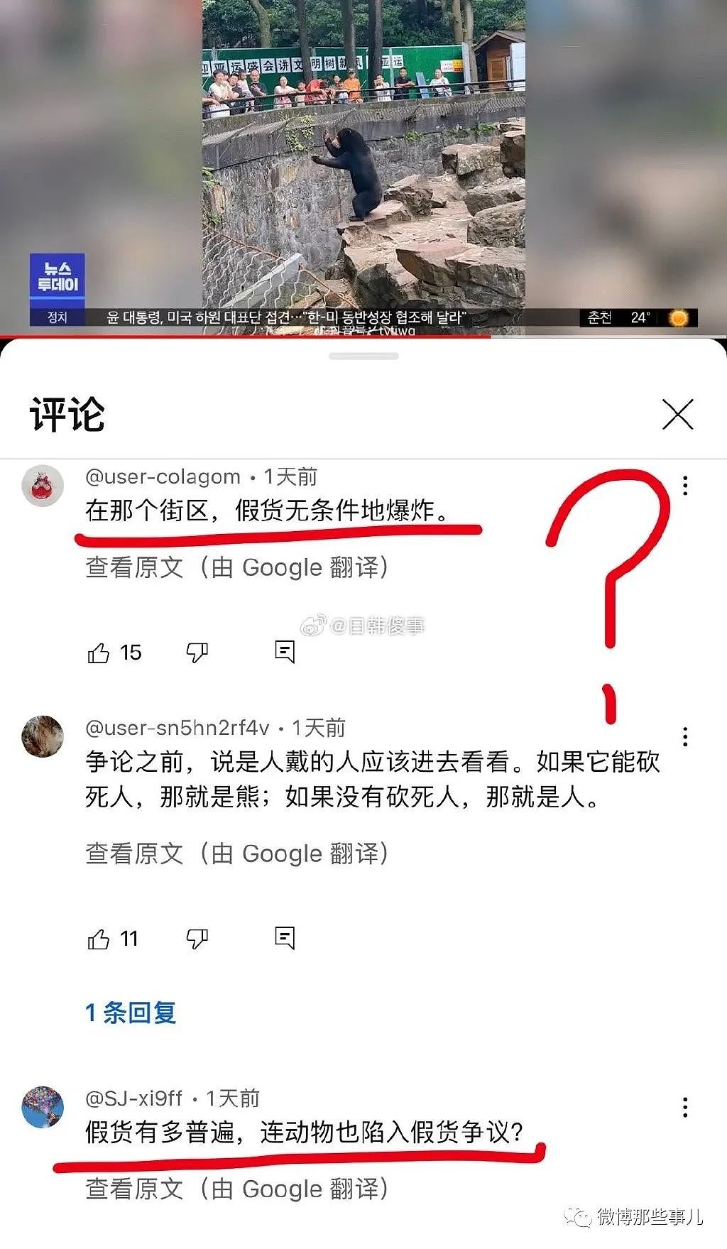 全球媒体都在报道中国这只熊，真像人穿着熊皮，只有韩国人破防了（组图） - 16