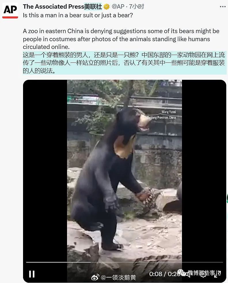全球媒体都在报道中国这只熊，真像人穿着熊皮，只有韩国人破防了（组图） - 1