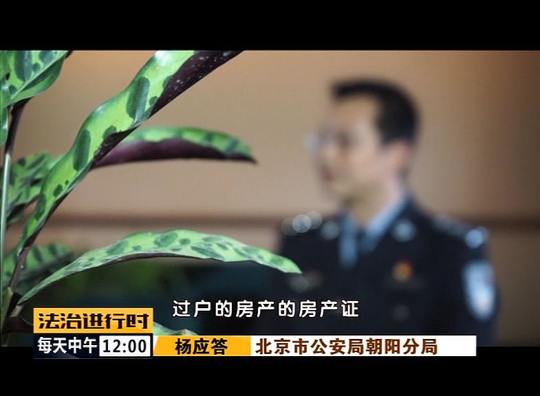 触目惊心！北京特大套路贷黑幕曝光：68位老人被骗走70套房！警察律师公证员共同作案（组图） - 7