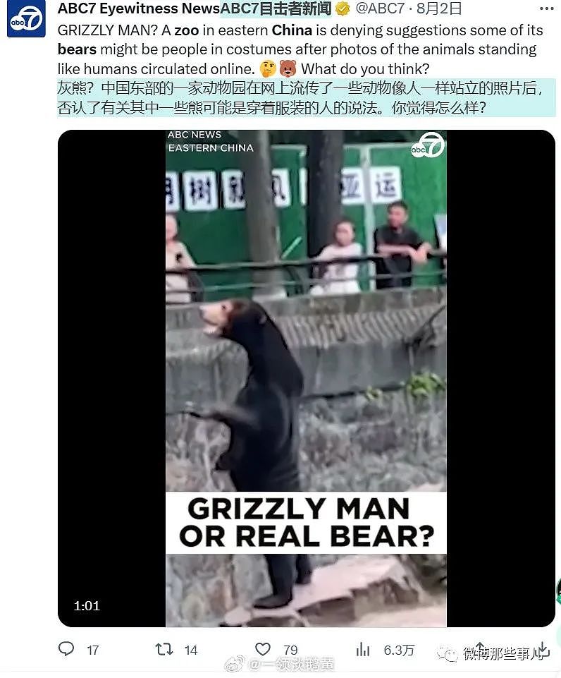 全球媒体都在报道中国这只熊，真像人穿着熊皮，只有韩国人破防了（组图） - 14