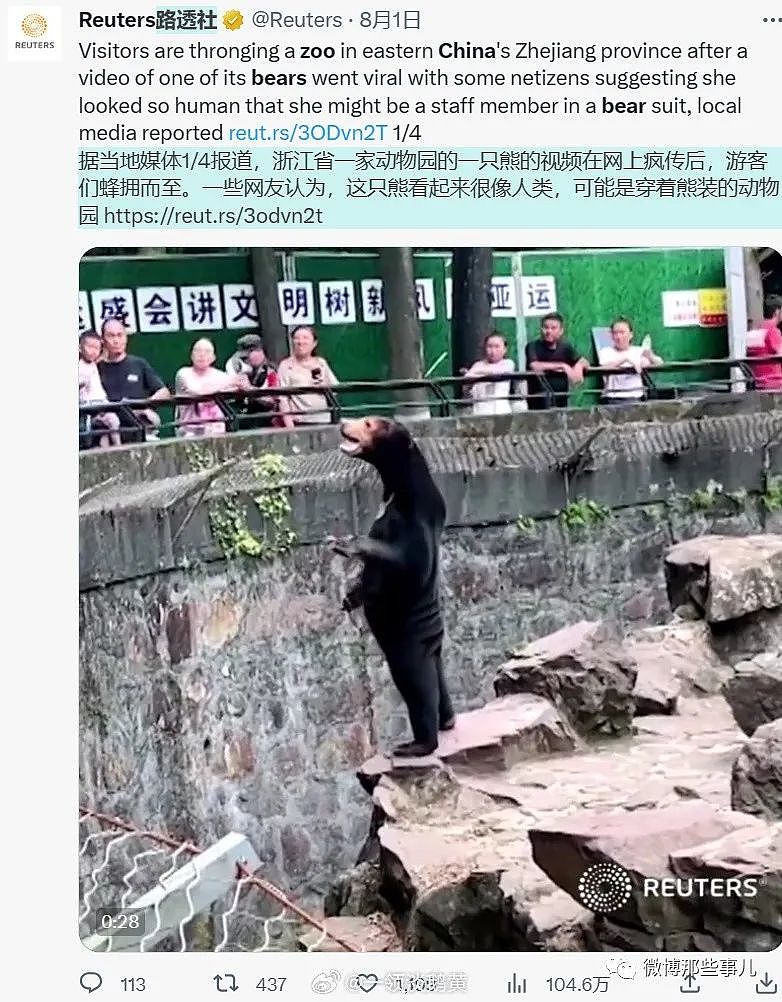 全球媒体都在报道中国这只熊，真像人穿着熊皮，只有韩国人破防了（组图） - 7