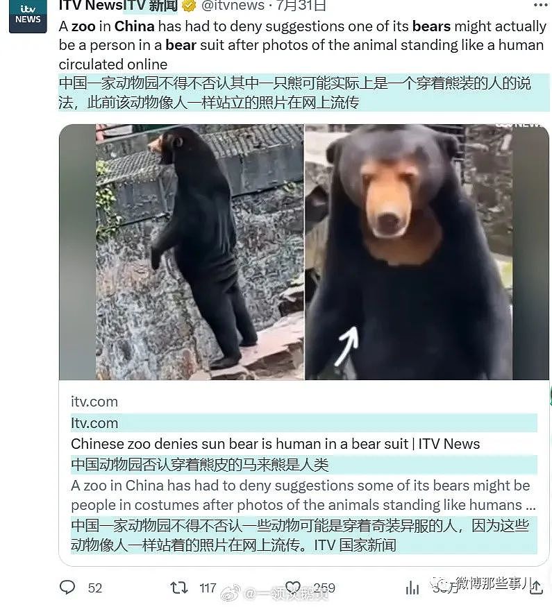 全球媒体都在报道中国这只熊，真像人穿着熊皮，只有韩国人破防了（组图） - 10