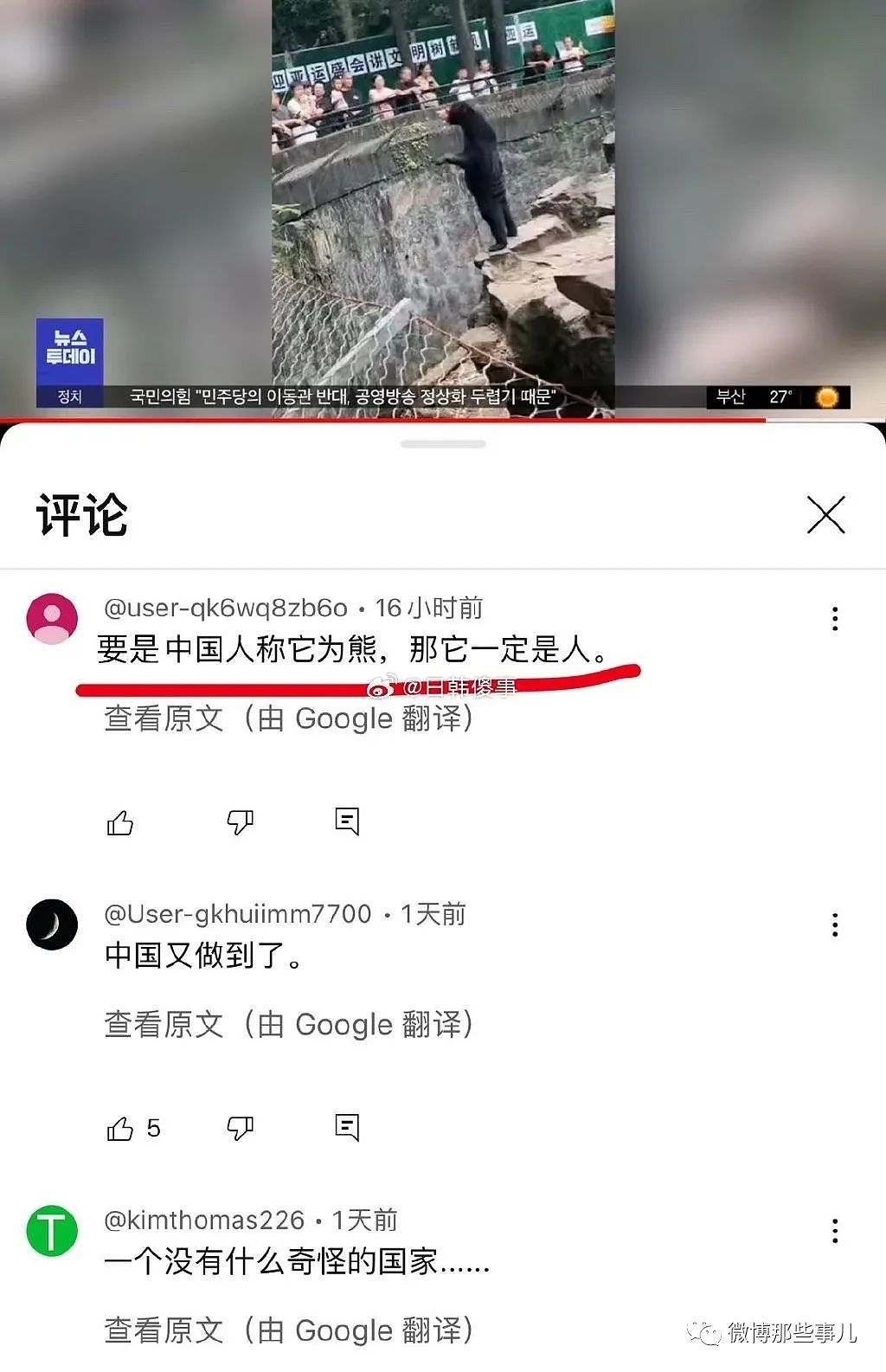 全球媒体都在报道中国这只熊，真像人穿着熊皮，只有韩国人破防了（组图） - 17