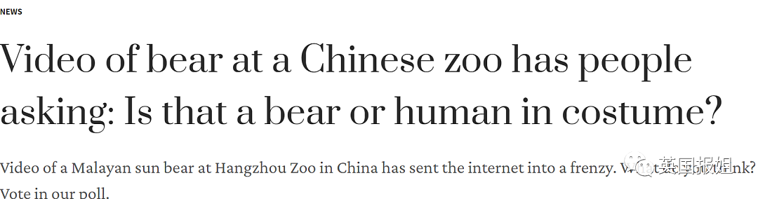 中国动物园的一头熊一夜之间火爆全球！国外媒体网友陷入疯狂：“它到底是熊还是人？！”（组图） - 11