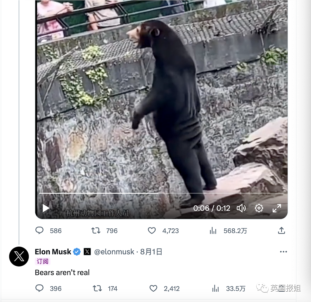 中国动物园的一头熊一夜之间火爆全球！国外媒体网友陷入疯狂：“它到底是熊还是人？！”（组图） - 14