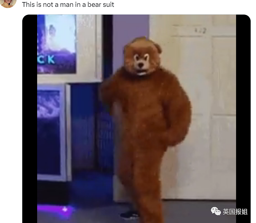 中国动物园的一头熊一夜之间火爆全球！国外媒体网友陷入疯狂：“它到底是熊还是人？！”（组图） - 31