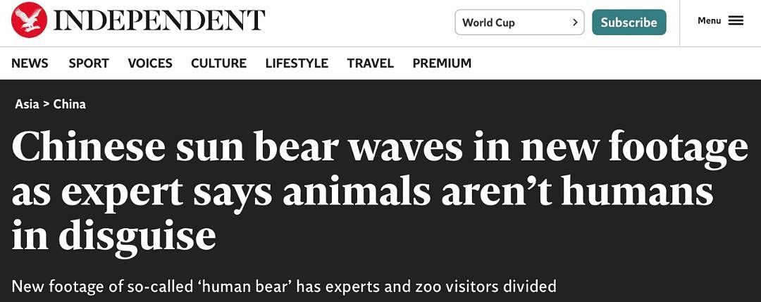 中国动物园一头熊一夜火爆全球，无数网友凌乱：真的不是人类假扮的（组图） - 6