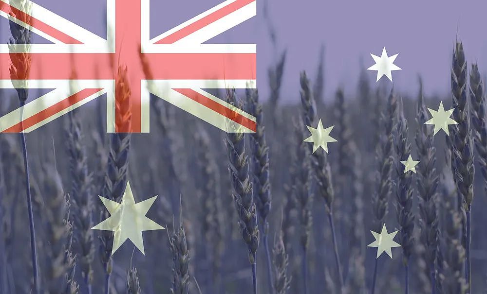 重磅！中国取消澳洲大麦80%的惩罚关税（组图） - 3