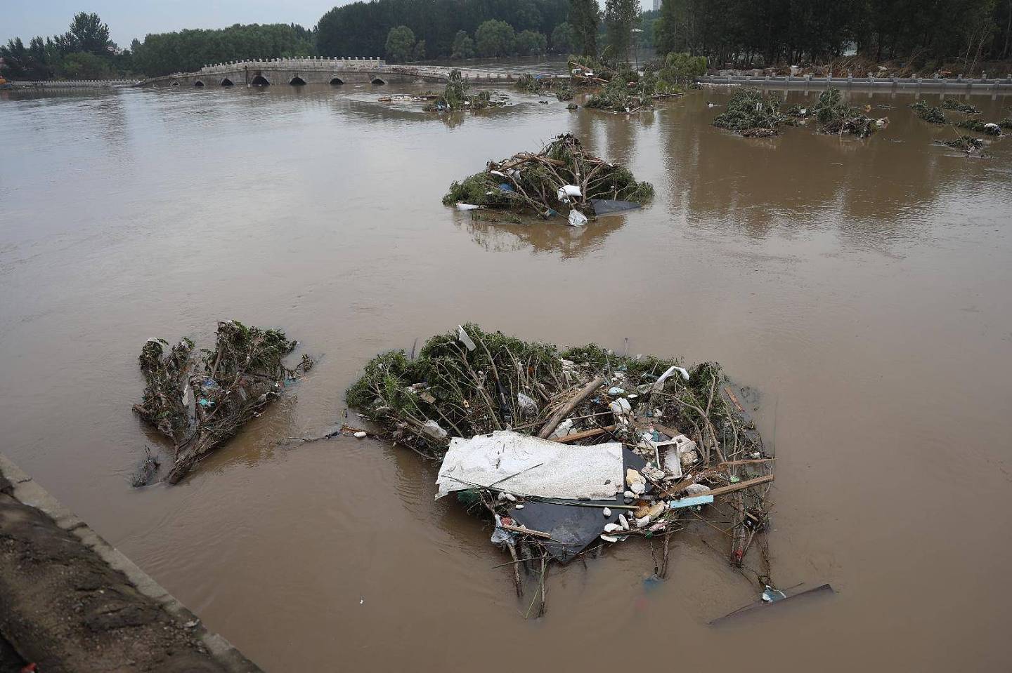 洪水回落后的涿州：村内多处现动物尸体，有村民晾晒泡湿纸币（组图） - 3