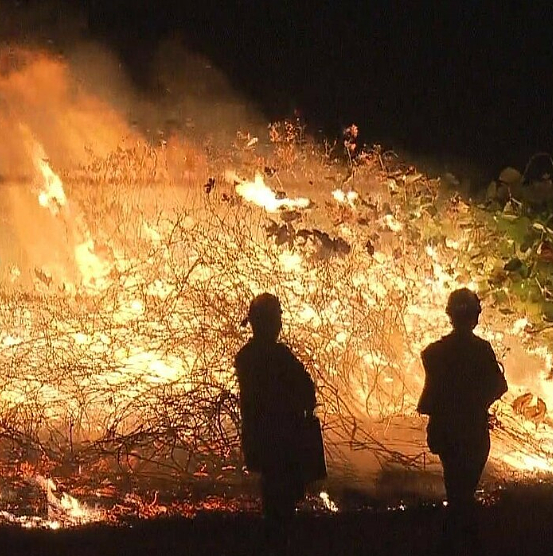 日本多地花火大会上热搜！现场混乱、满地垃圾，还突发火灾...网友：简直没眼看（组图） - 22