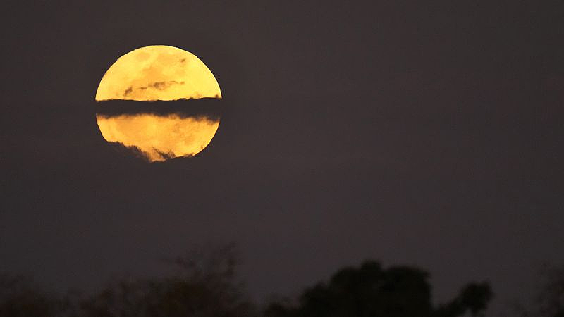 本月，澳洲天空将迎来一轮“超级蓝月亮”！错过再等6年（组图） - 2