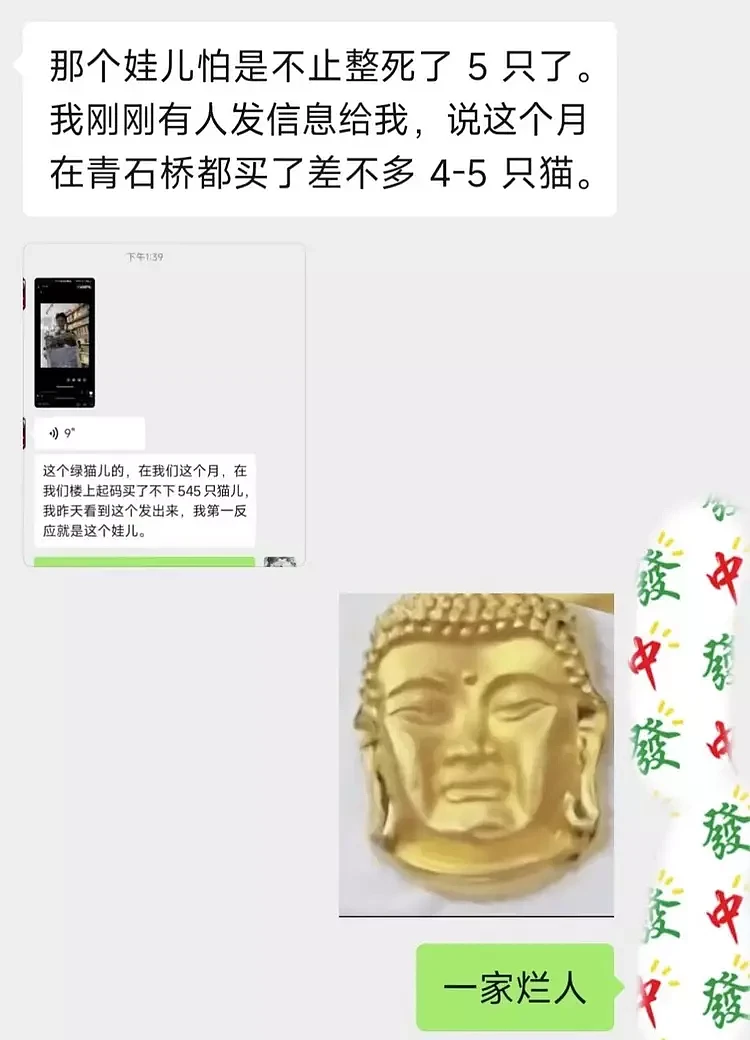 17岁虐猫男生的高管父母均被举报，其畸形不伦的家庭关系也遭曝光（组图） - 11