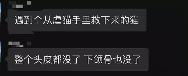 17岁虐猫男生的高管父母均被举报，其畸形不伦的家庭关系也遭曝光（组图） - 1