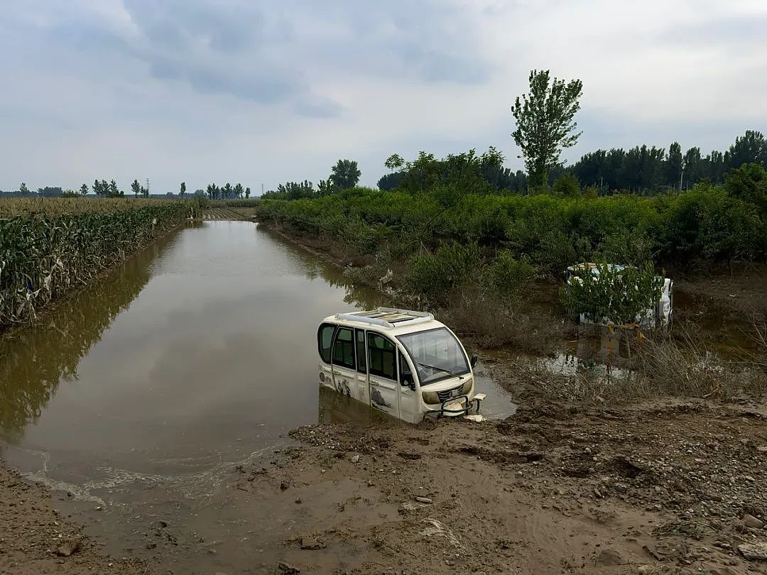 洪水退去后的涿州：报废的汽车、庄稼，无家可归（组图） - 4