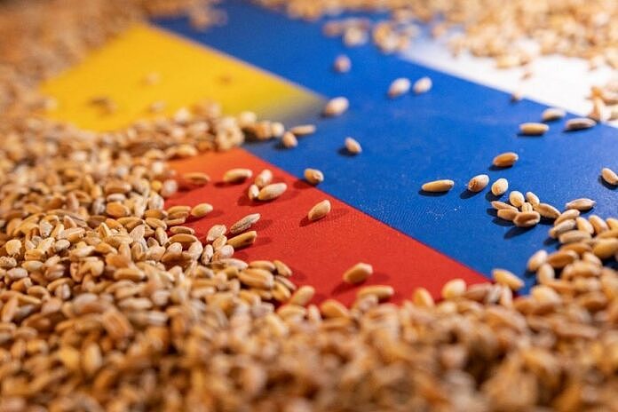 俄罗斯谷物成本增加！恐推高全球小麦价格（图） - 1