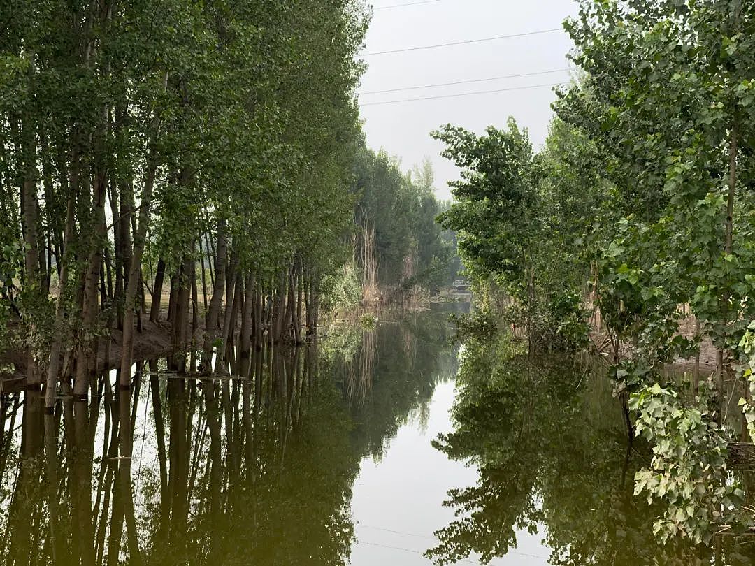 洪水退去后的涿州：报废的汽车、庄稼，无家可归（组图） - 11