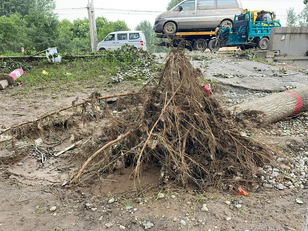 洪水退去后的涿州：报废的汽车、庄稼，无家可归（组图） - 7