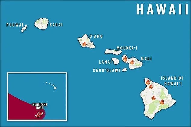 夏威夷多岛爆发大火，受困者跳海求生，医院不堪重负，史无前例困境（视频/组图） - 1