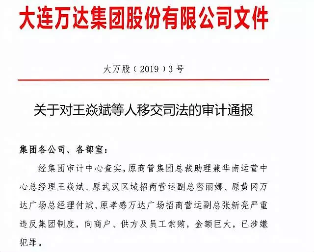 王健林重拳反腐：万达上至副总裁、下至项目总均有人被警方调查（组图） - 5