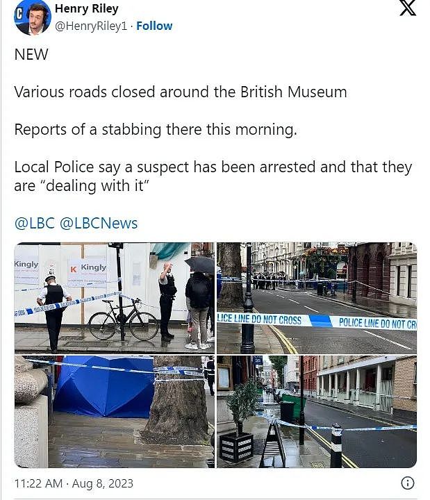 大英博物馆恐怖持刀袭击，男子持30cm大砍刀冲向队伍，中国游客重伤，血溅百米（组图） - 7