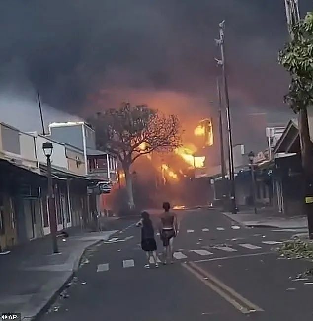 夏威夷多岛爆发大火，受困者跳海求生，医院不堪重负，史无前例困境（视频/组图） - 2