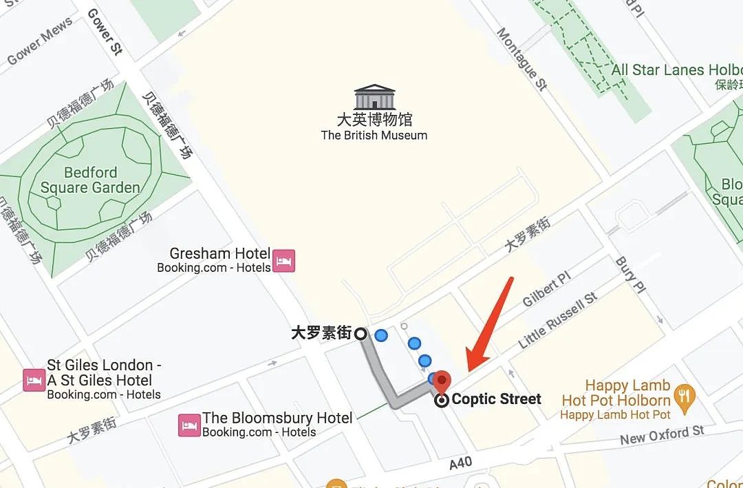 中国游客在伦敦大英博物馆外被捅伤，驻英大使馆发布领事提醒（视频/组图） - 10