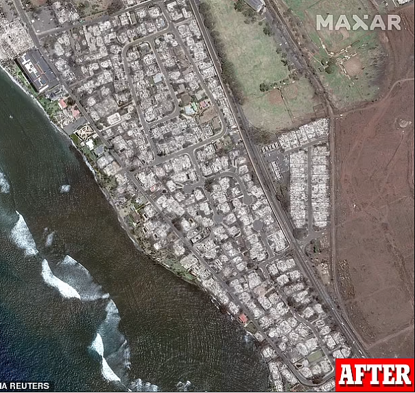 夏威夷大火致36人死亡，4000游客被困！知名小镇被夷为平地（组图） - 9