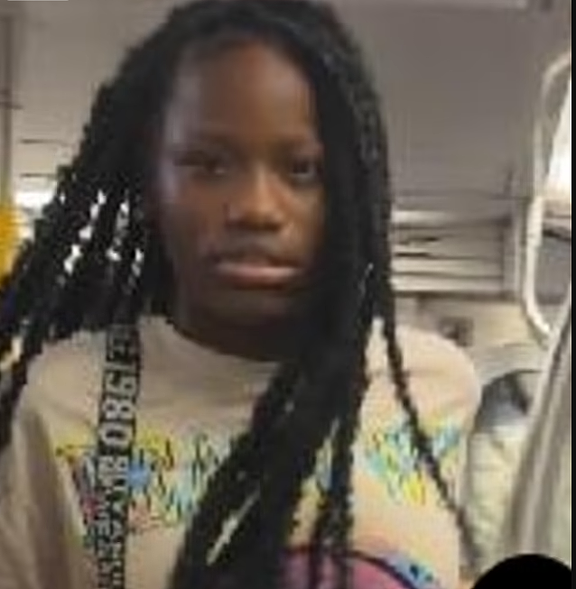 华裔地铁上被3非裔女孩暴揍！其中一人自首，竟可免仇恨罪（组图） - 1