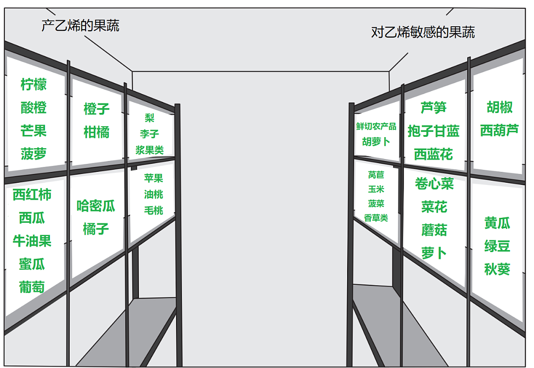 注意！这两类水果在冰箱里千万别放一起，因为……（组图） - 2