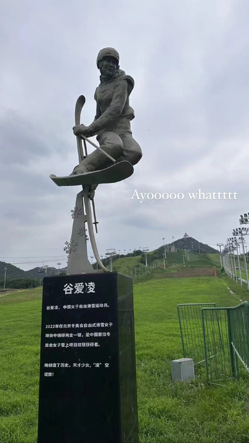 天才少女，“凌”空绽放！谷爱凌雕像在北京落成，字却掉漆了（组图） - 1