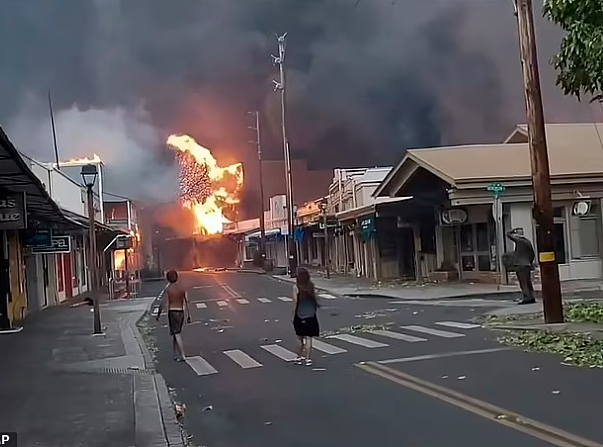 夏威夷大火致36人死亡，4000游客被困！知名小镇被夷为平地（组图） - 5