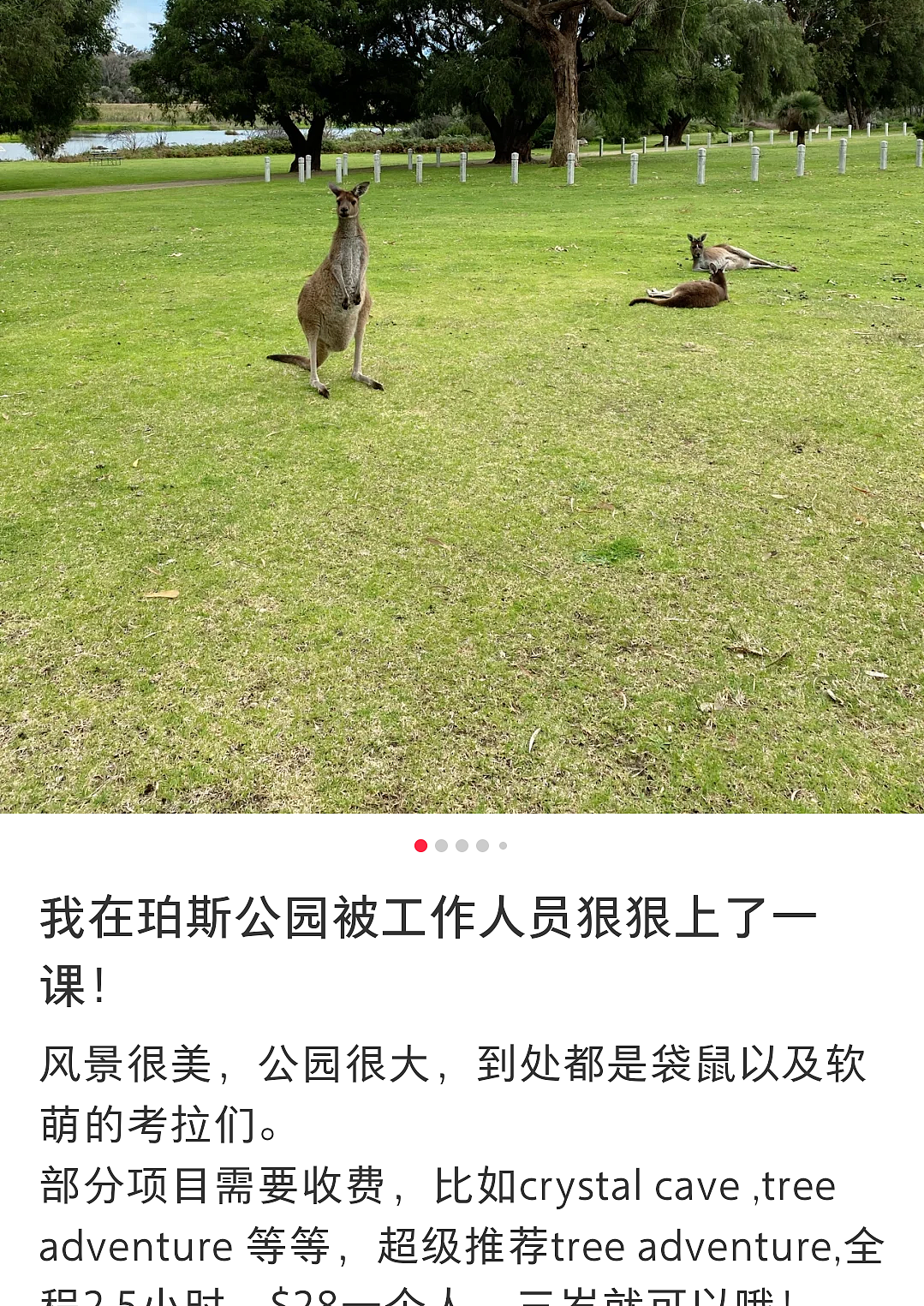 澳洲华人妈妈公园里给娃拍了个视频，结果杯具了…（组图） - 1