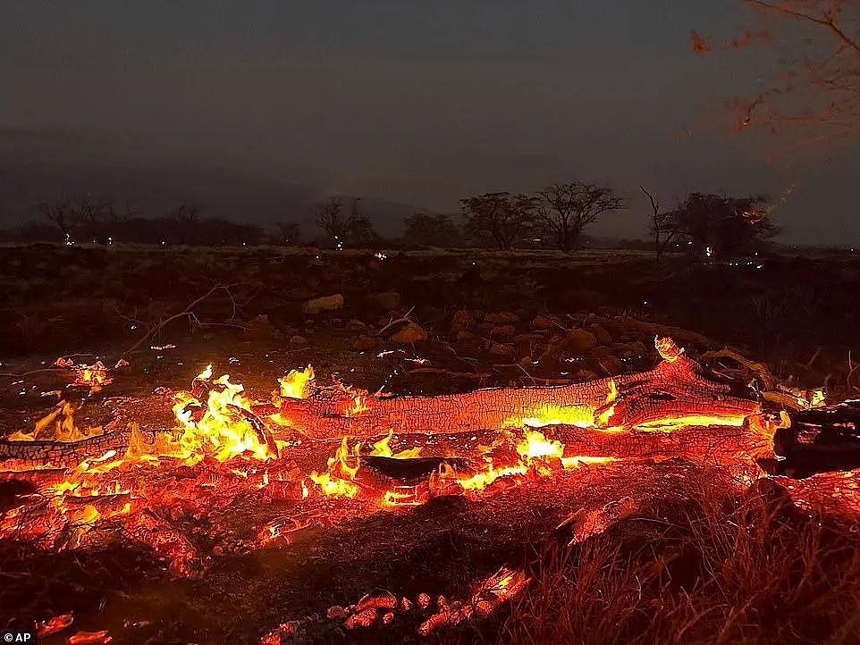 夏威夷大火致36人死亡，4000游客被困！知名小镇被夷为平地（组图） - 8