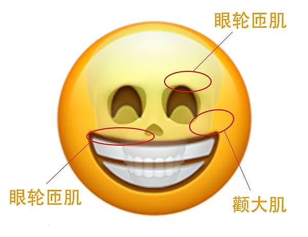 只因一个“死亡微笑”，28岁上海姑娘被单位开除：这些微信潜规则，你一定要小心（组图） - 7